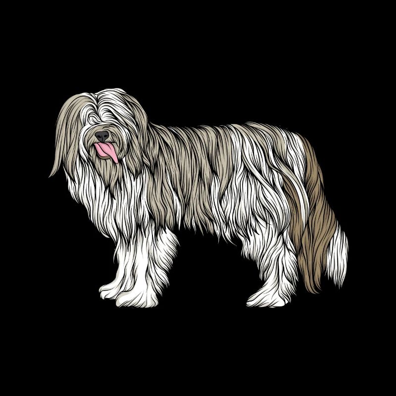 Chien