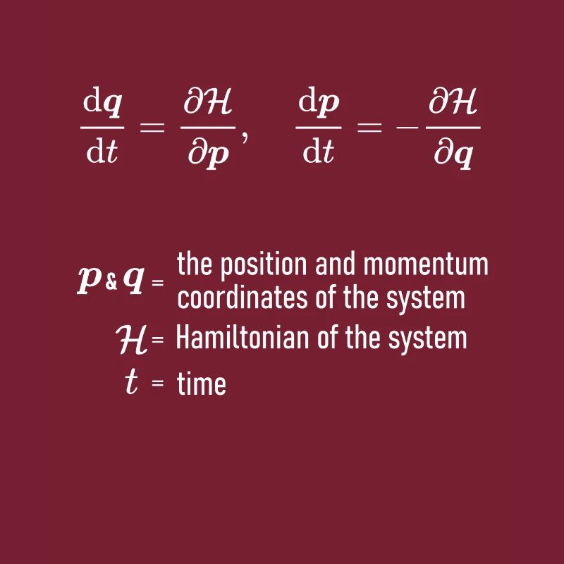 Hamilton Equations of Classical Mechanics Physics