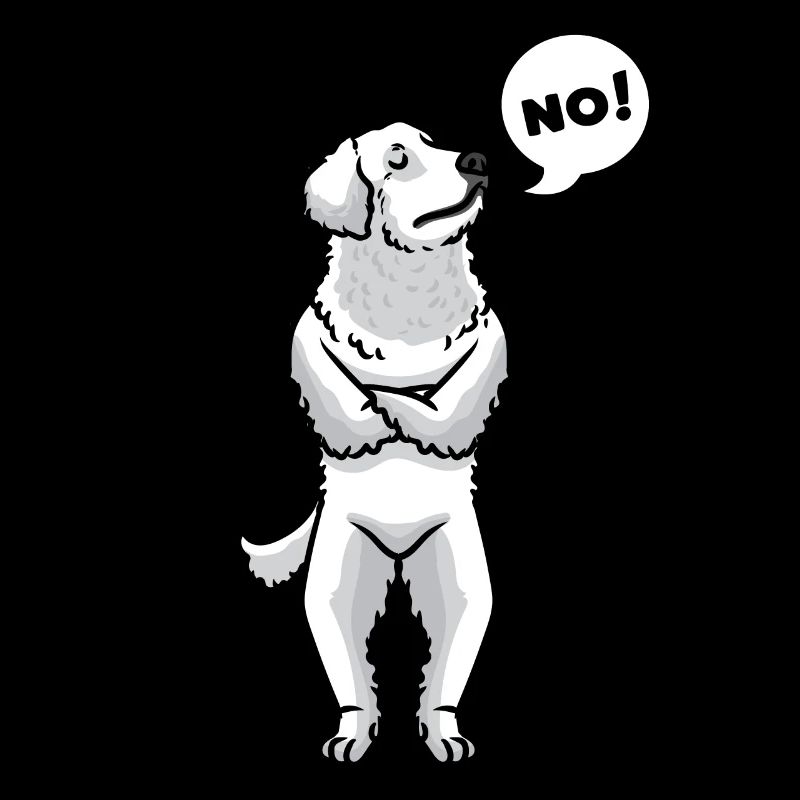 Chien Kuvasz