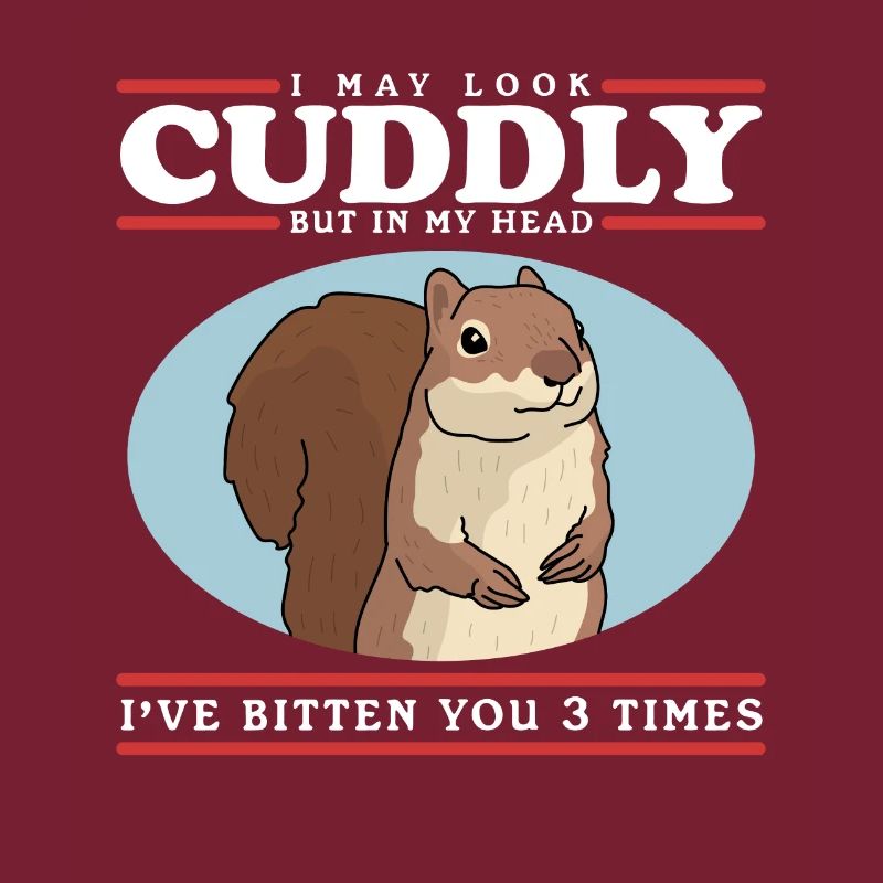 Cute Squirrel Grey Squirrel Squirrel Gift