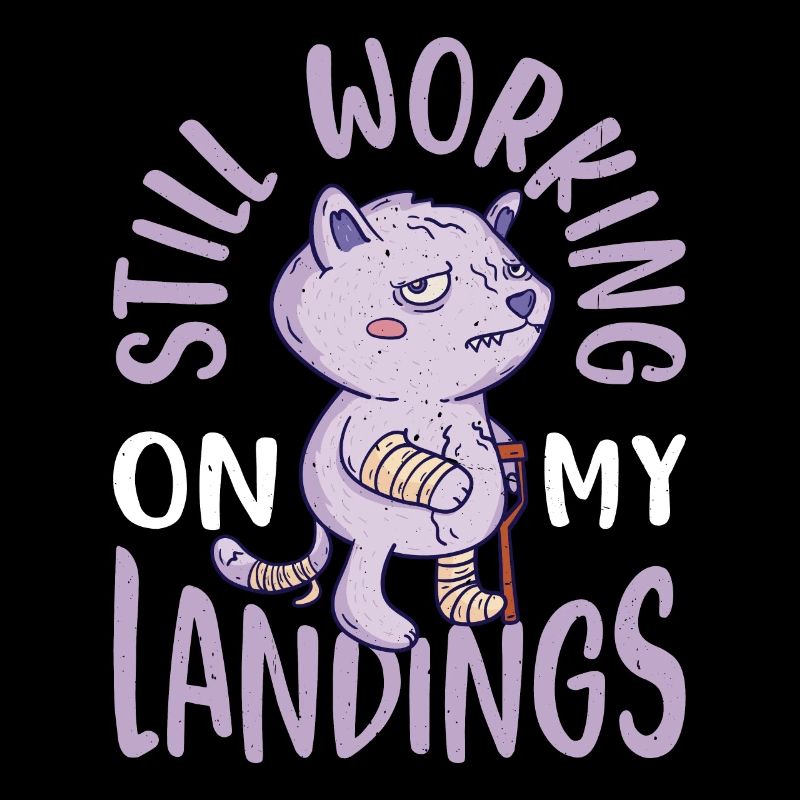 Still Working On My Landings 4