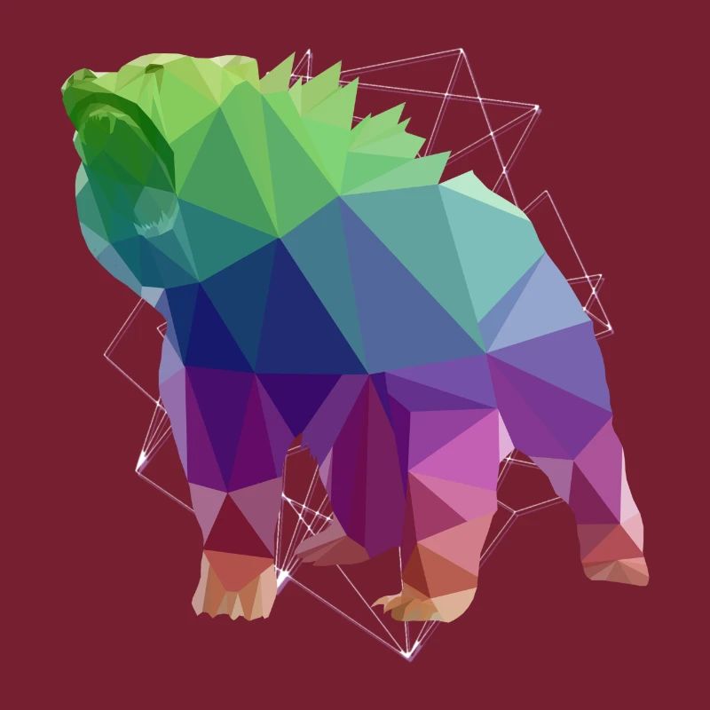 Bear Brown Bear Wild