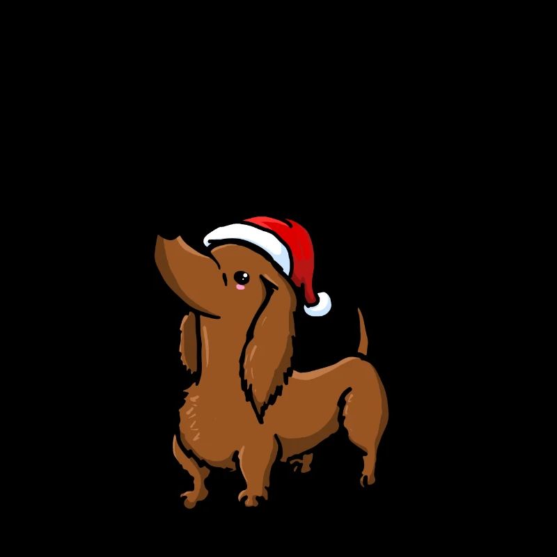 Chien Teckel Teckel Avent de Noël mignon mignon