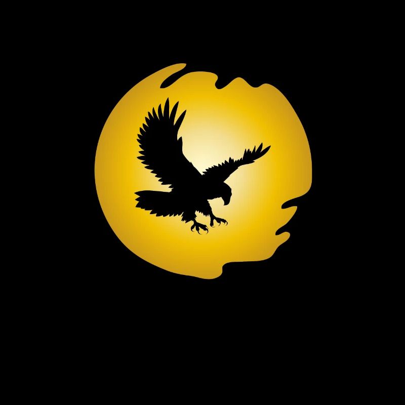 Aigle volant dans le ciel Aigle Ailes
