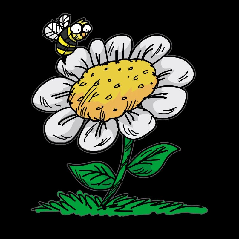 Gänseblümchen Biene Margerite Maßliebchen