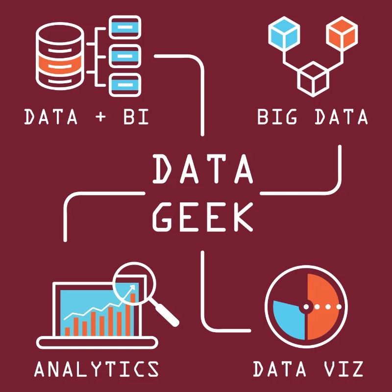 Data Geek Softwareentwickler