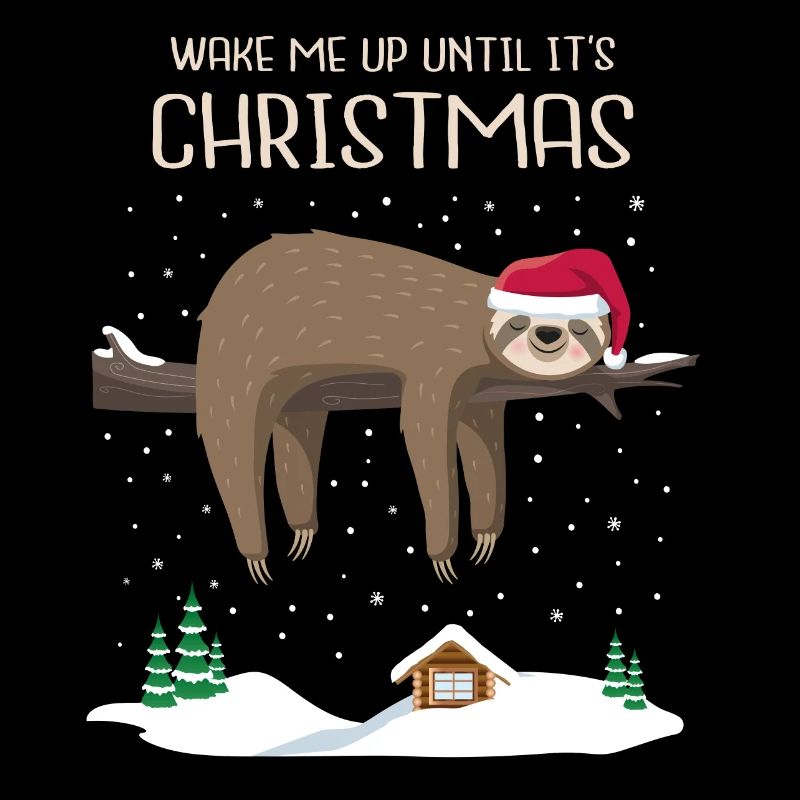 Faultier Weihnachten Sloth christmas Geschenk wake