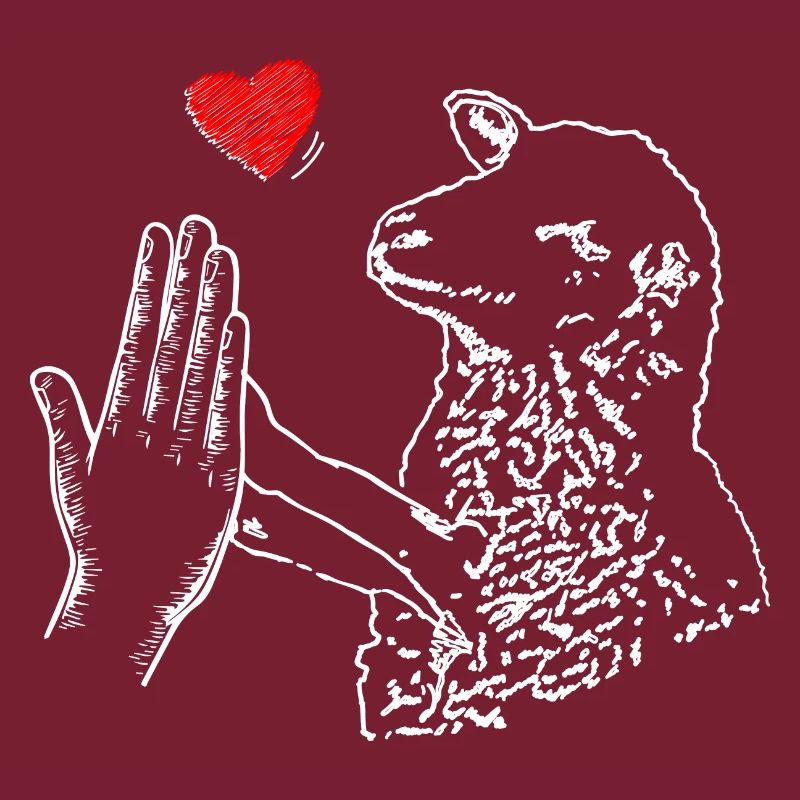 High Five Schaf