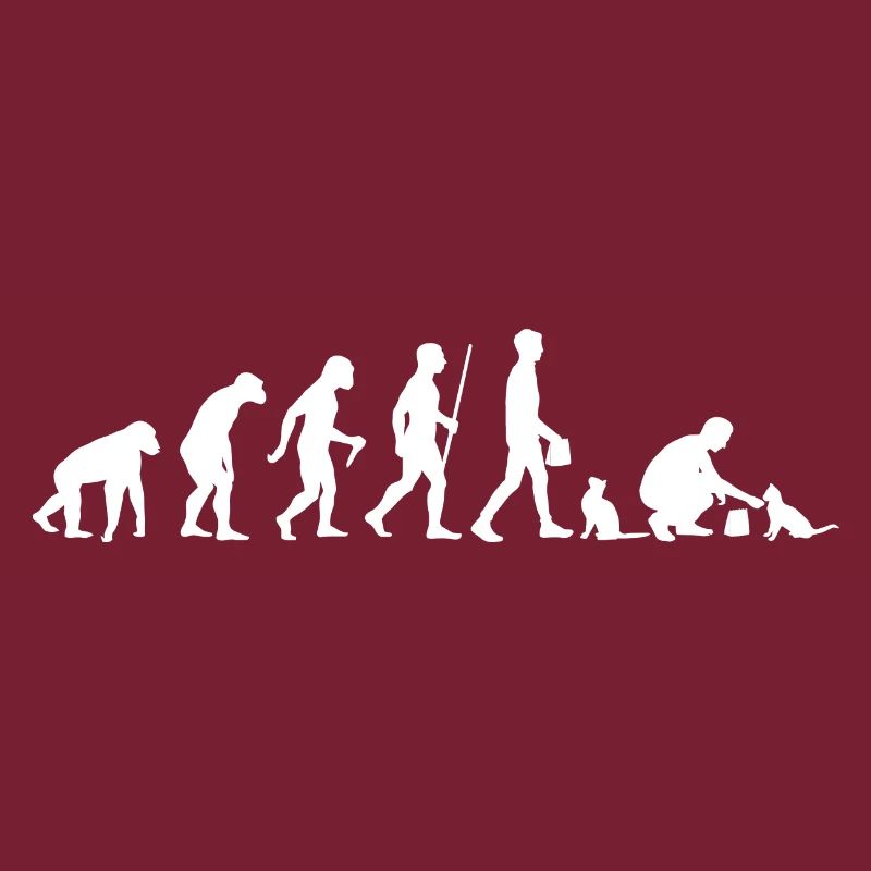 Evolution Cat Cat Owner Cat Owner