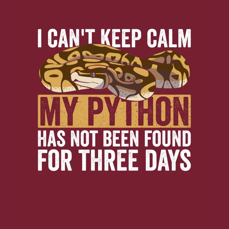 Königspython Boule de banane Python