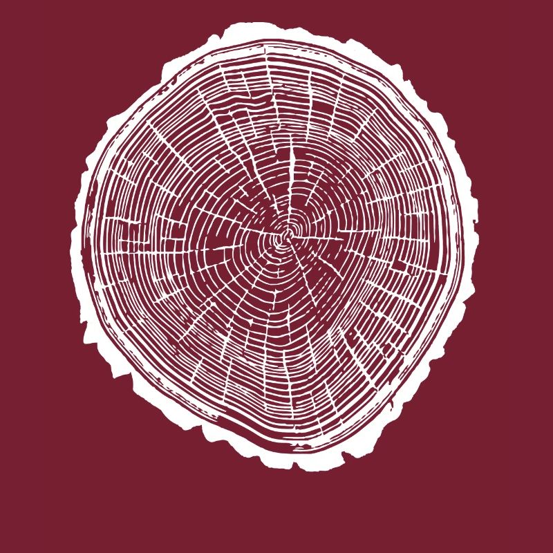 Holzscheibe mit Rinde