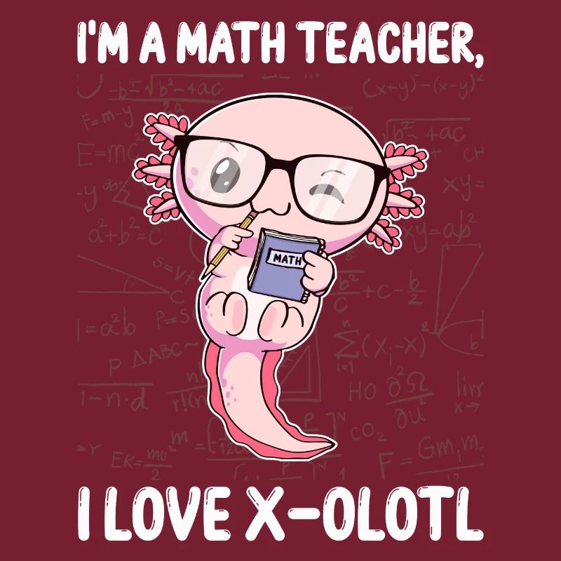 Funny Math Kawaii Axolotl Gift