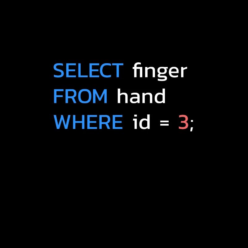 Funny SQL middle finger programmer