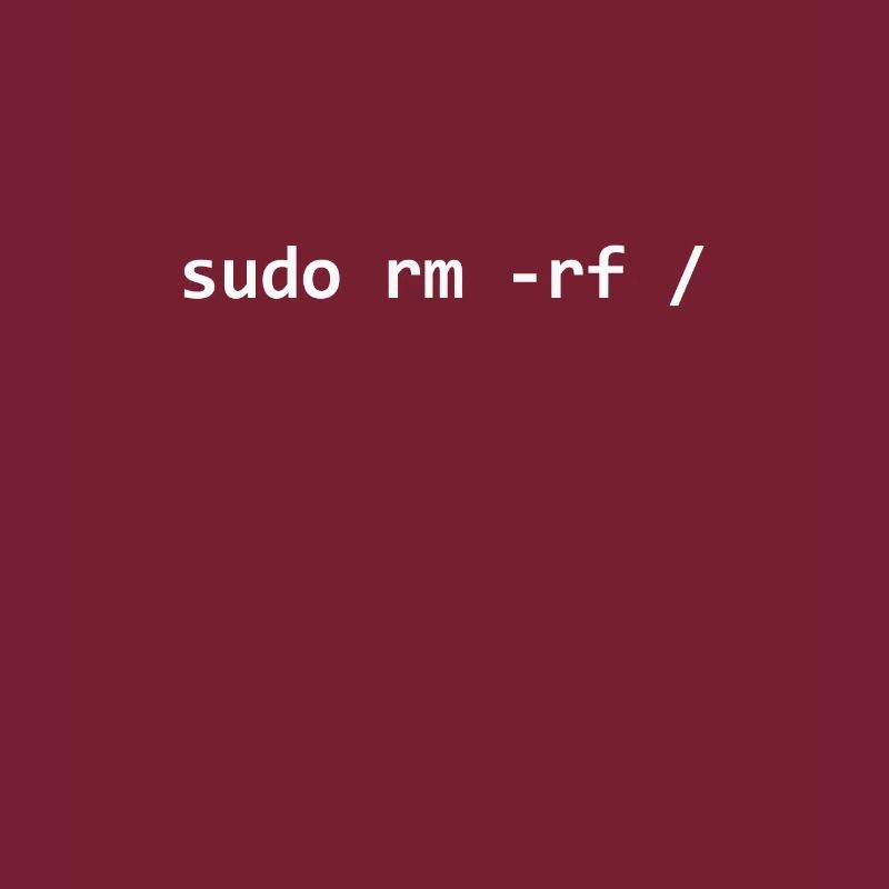 Programmeur Sudo Linux