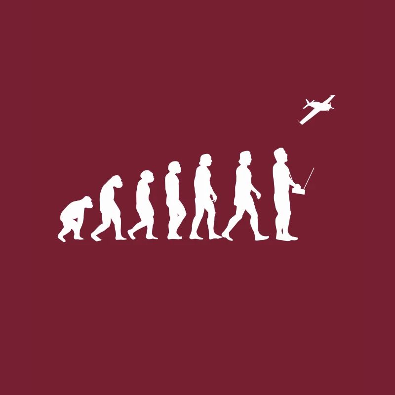 Avion modèle Modellflieger Evolution