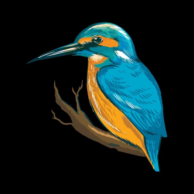 Eisvogel Blauer Vogel