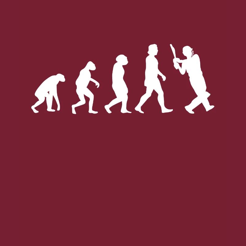 Cricket Evolution Battes de cricket