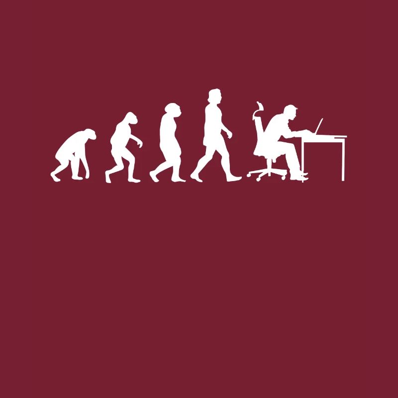 Programmeur d’évolution Informaticien Informatique Geek