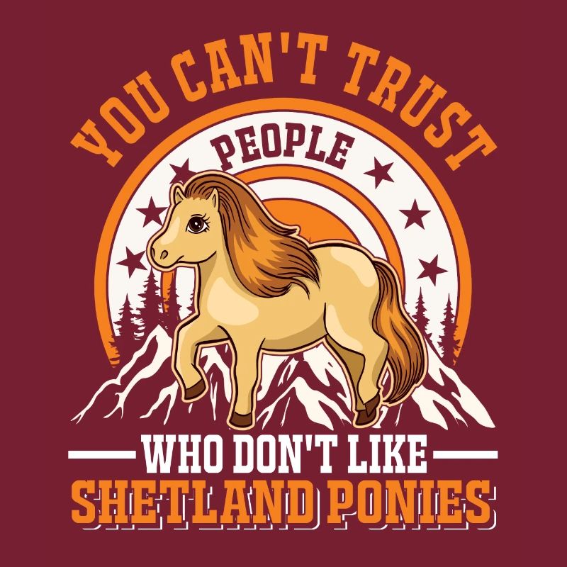 Shetland Pony Geschenk Shetty