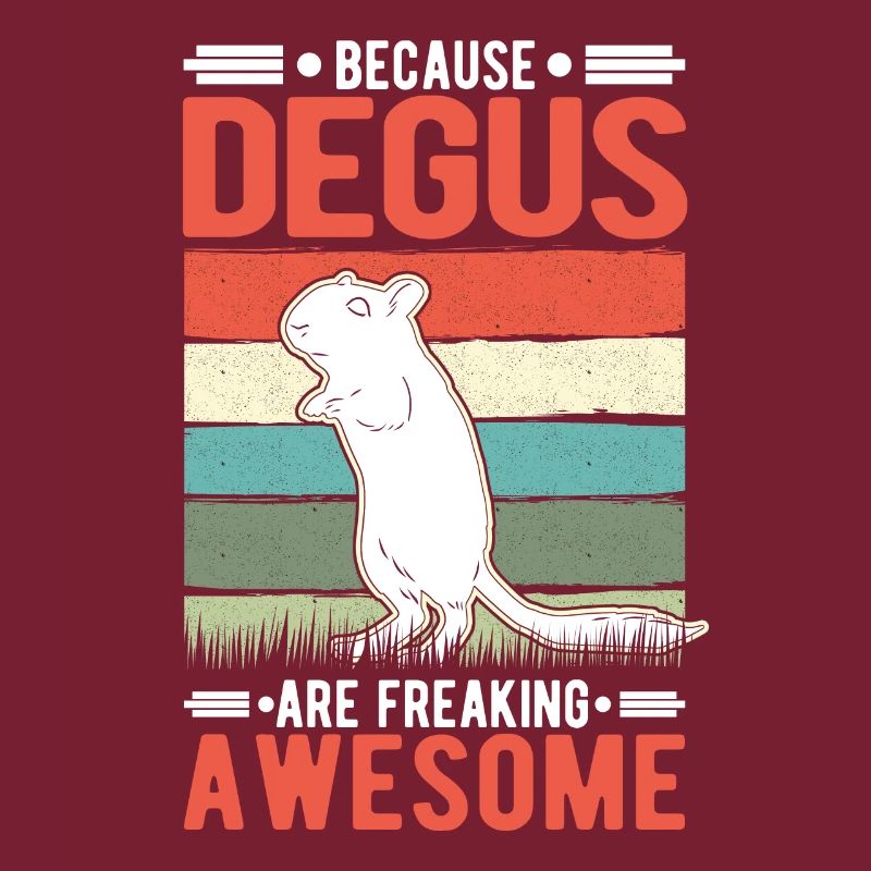 Parce que Degus est génial