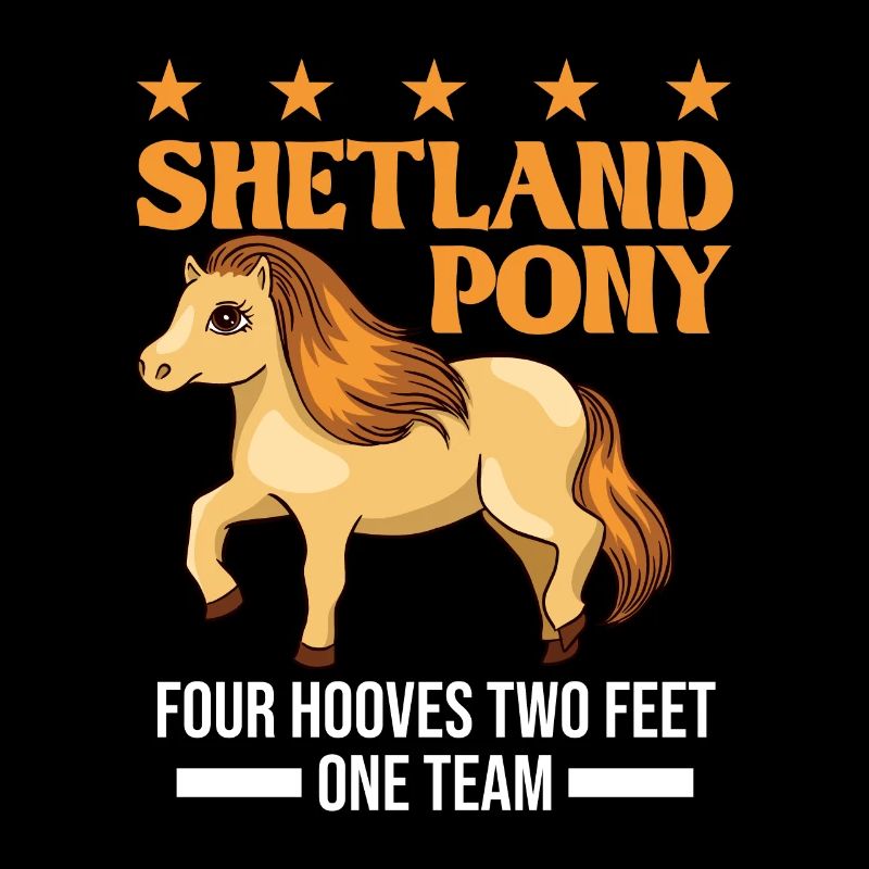Shetland Pony 4 sabots 2 pattes Une équipe