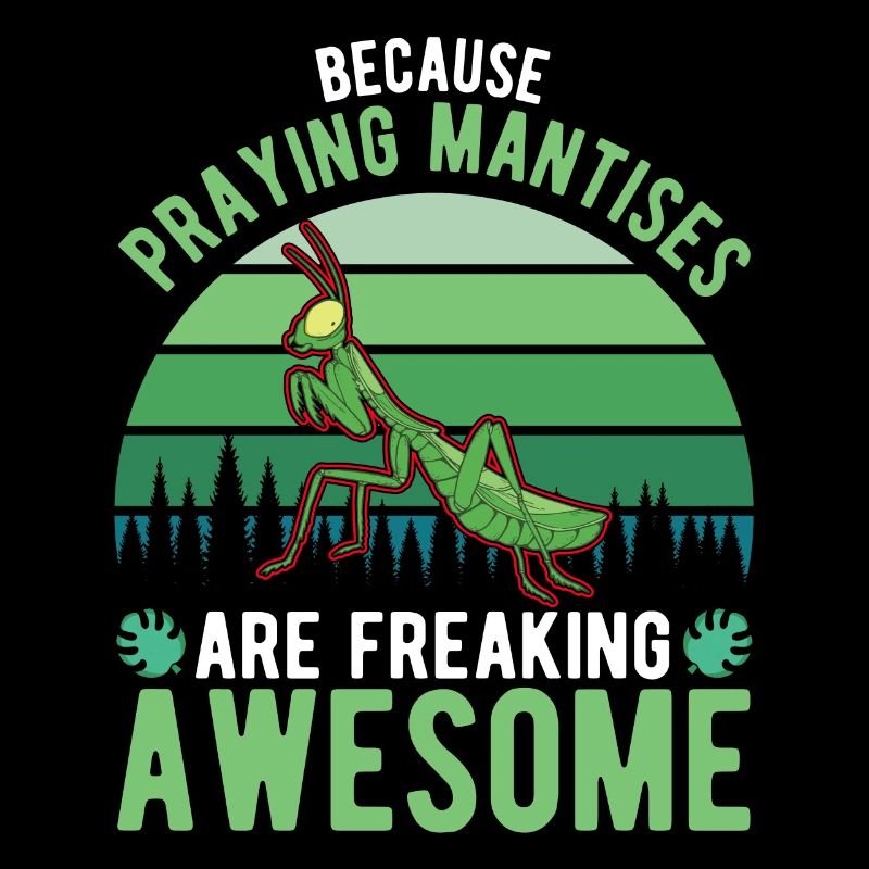 Gottesanbeterin Fangschrecke Mantis