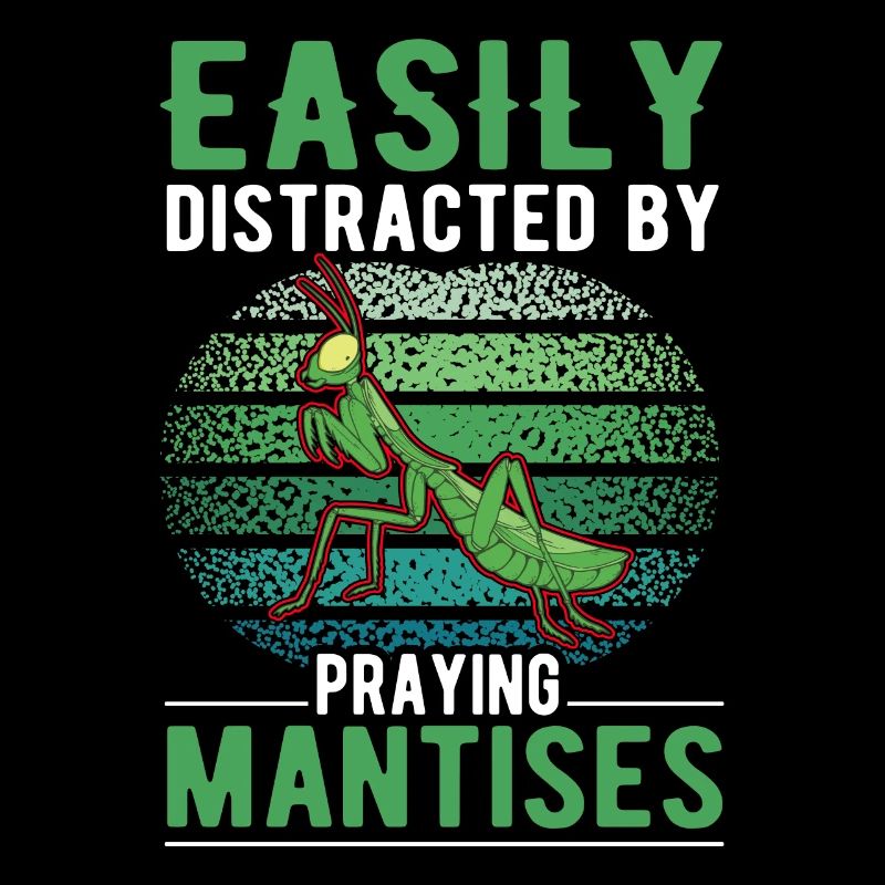Gottesanbeterin Praying Mantis Fangschrecke