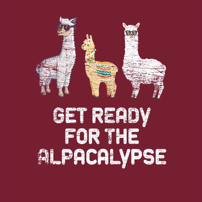 alpaca