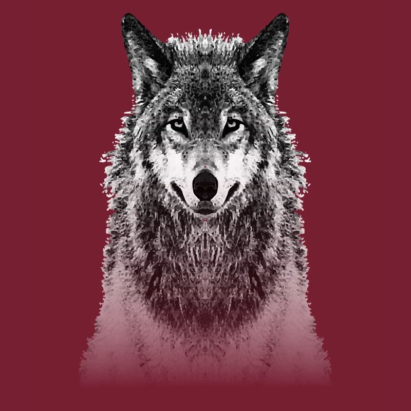wolf real dog wolves she-wolf pack wolf pack animal