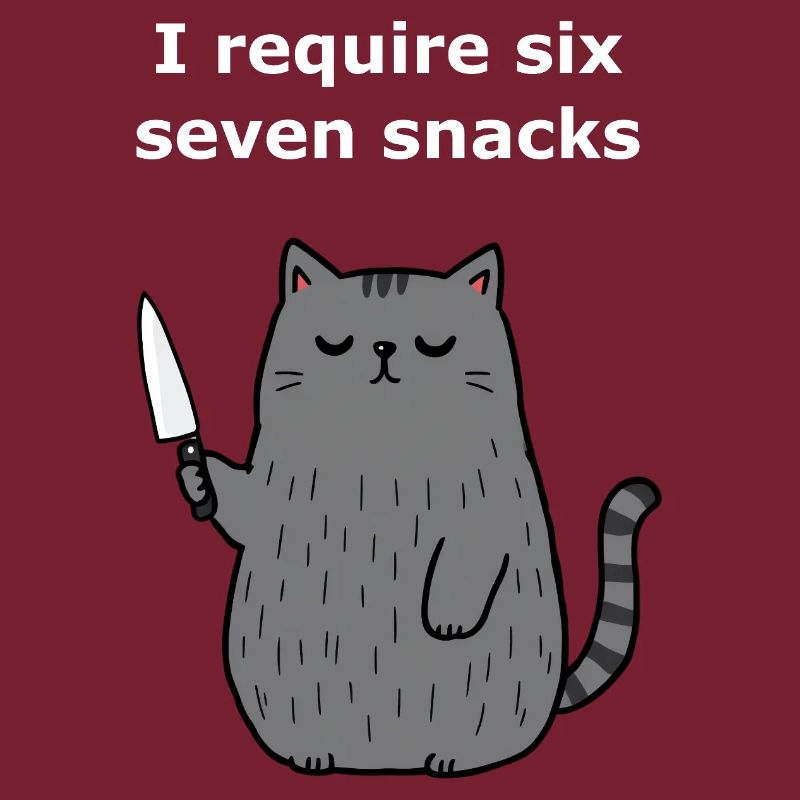 6-7 Mème Internet 6 7 Snack Cat