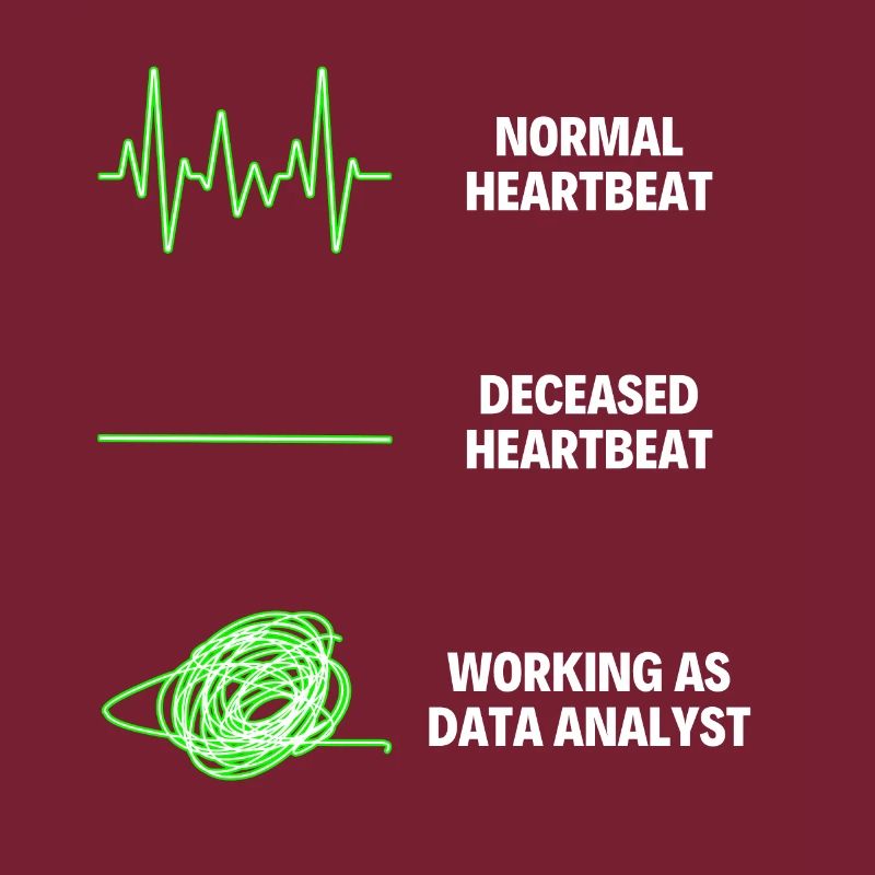 Data Analyst Data Analytics Worker Web Developer