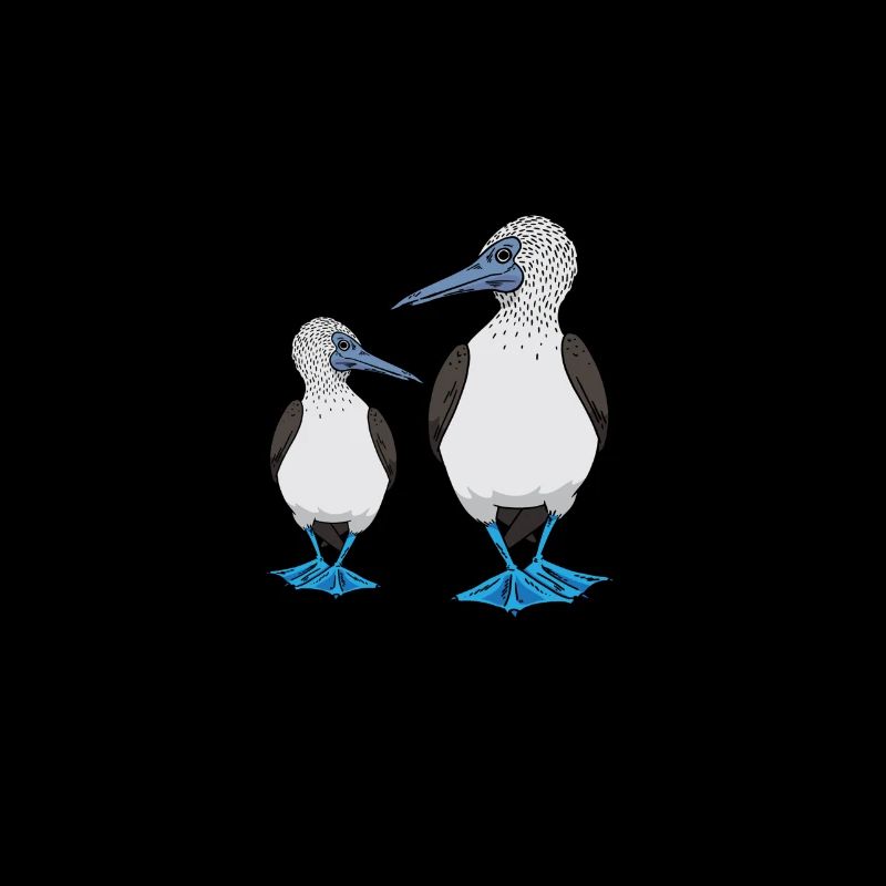Oiseaux de mer à pieds bleus