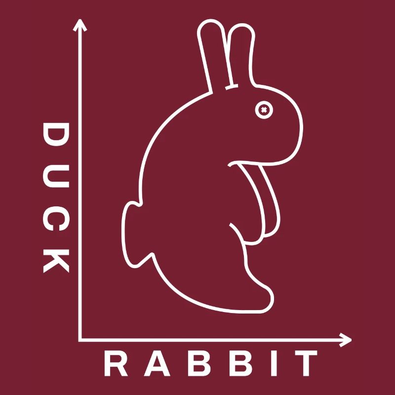 Rabbit Duck Illusion
