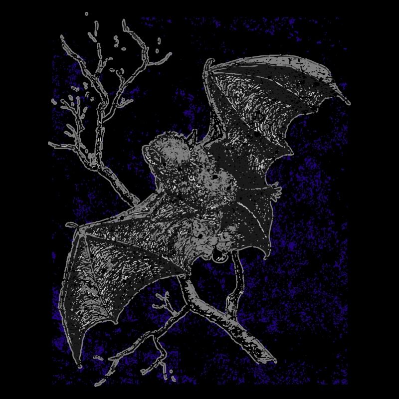 Chauve-souris vampire