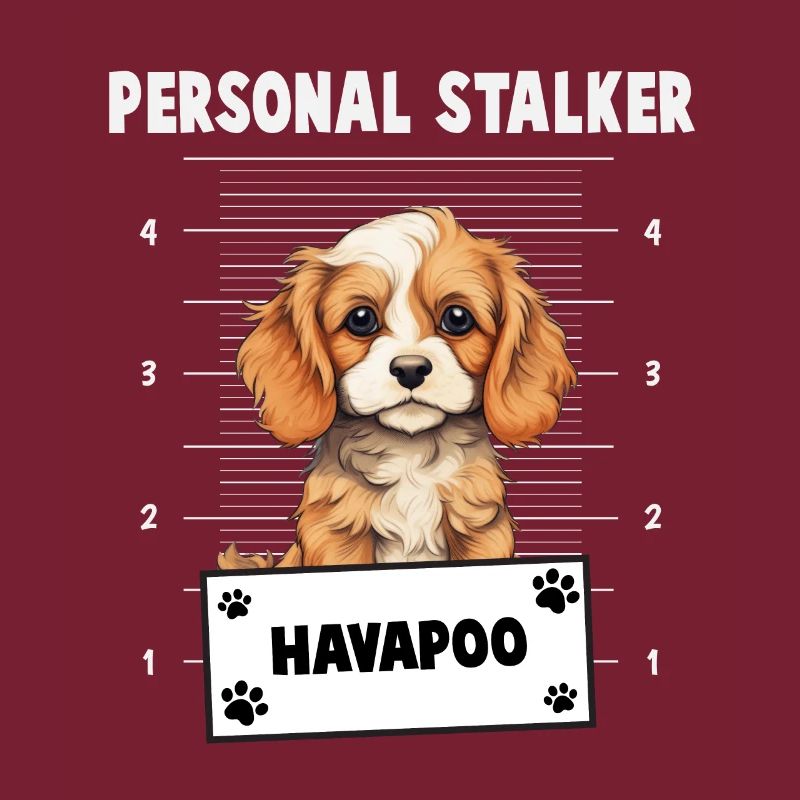 Personal Stalker Havapoo