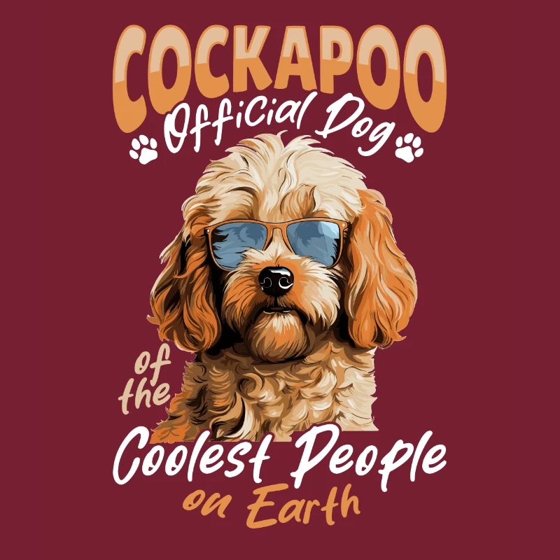 Cockapoo Race de chien Chien de compagnie Cockapoo Chien officiel
