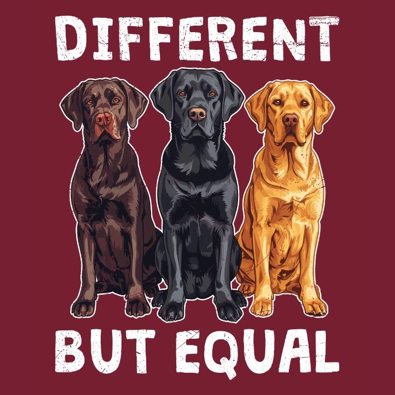 Labrador Hunde DIFFERENT BUT EQUAL Labrador