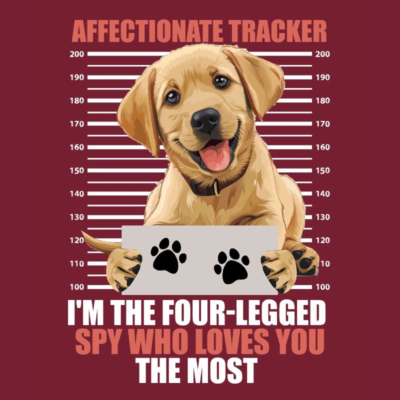 Labrador AFFECTIONATE TRACKER Four Legged Spy