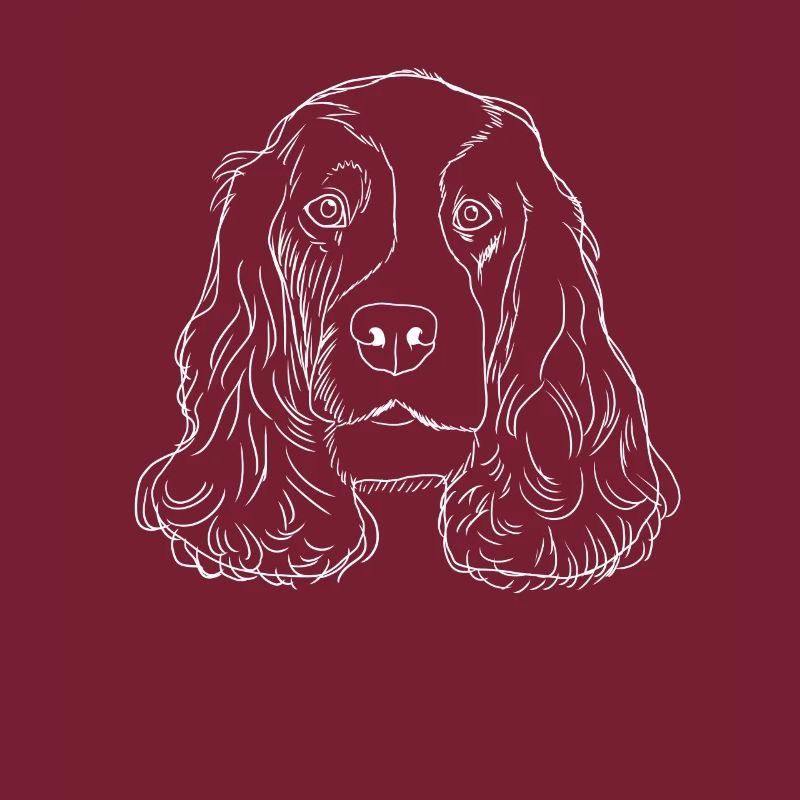English Cocker Spaniel Hund