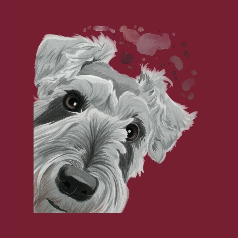 Neugieriger Schnauzer Hund
