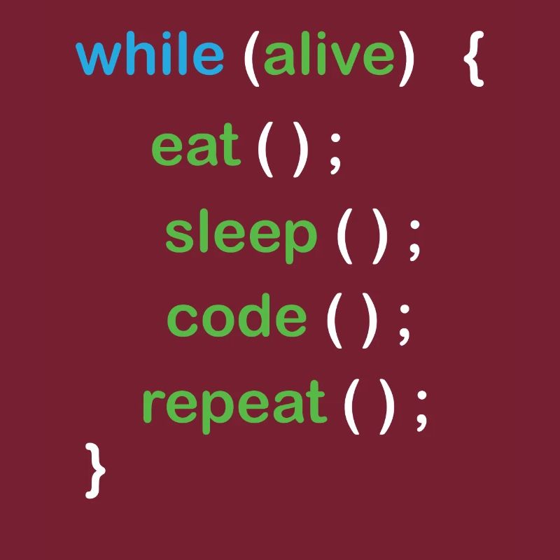 Développeur de logiciels de codage Python