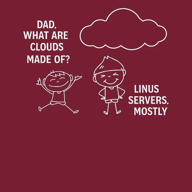 Programming Software Developer Computer Engineer