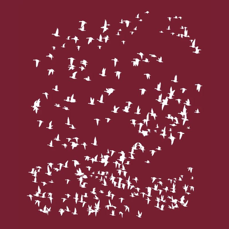 Bird migration minimalistic design