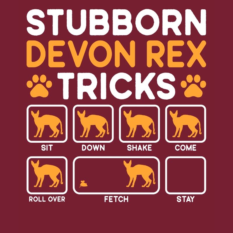 Tricks têtus Devon Rex Cat