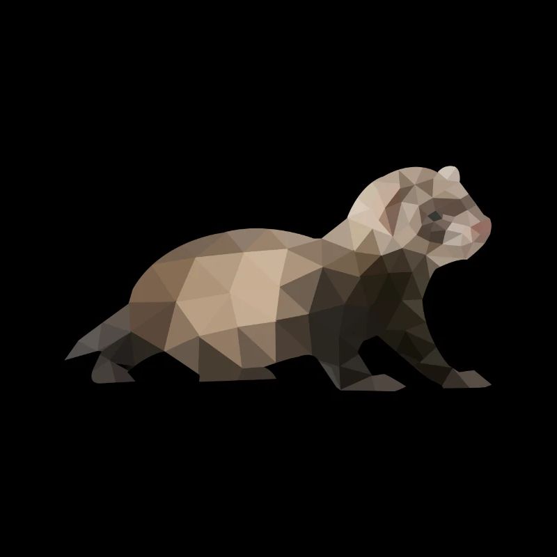 Frettchen Polygon Iltis