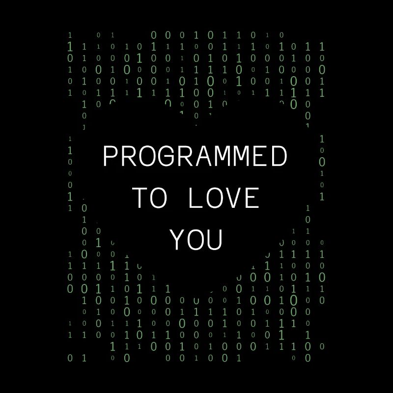 Entwickler Coder Programmierer