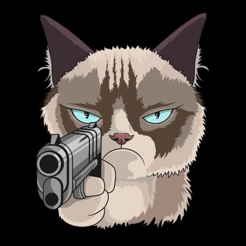Cat with pistol