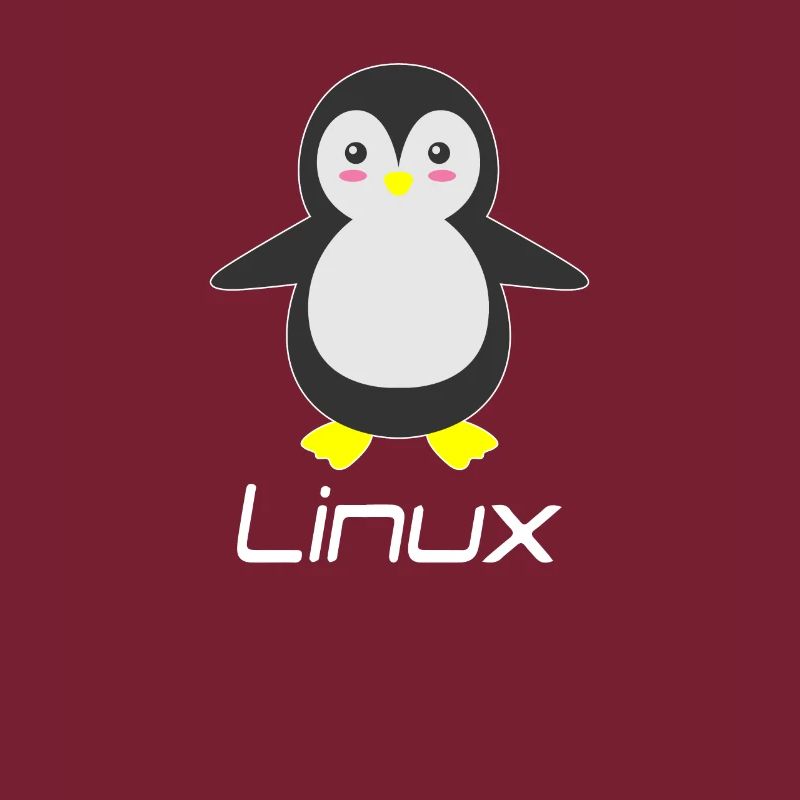 Geek Linux