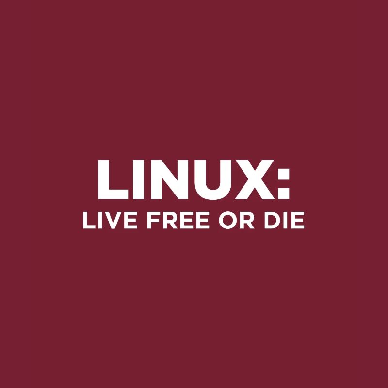 Geek Linux dit un informaticien nerd