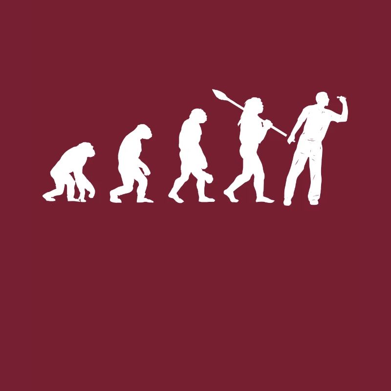 Fléchettes Evolution Fléchettes Fléchettes